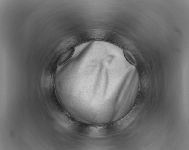 X0000111600172200908131411
