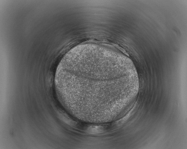 X0000111600174200908131411