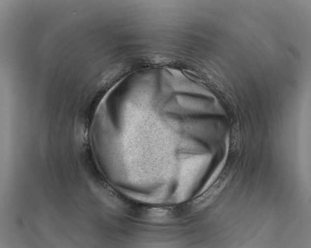 X0000111600176200908131411