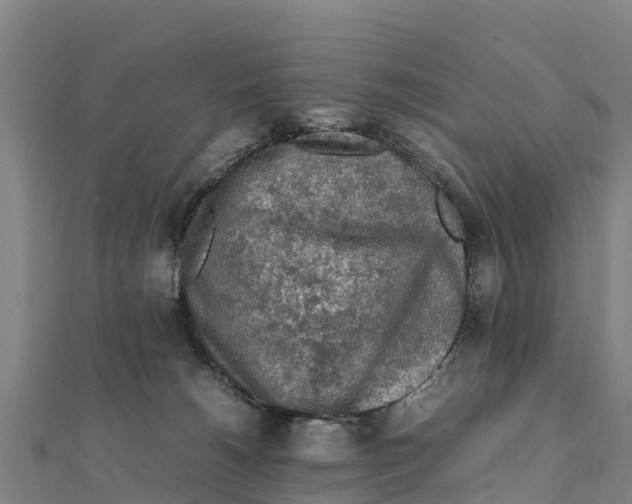 X0000111600180200908131411