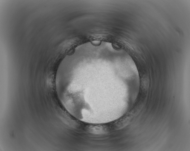 X0000111600181200908131411