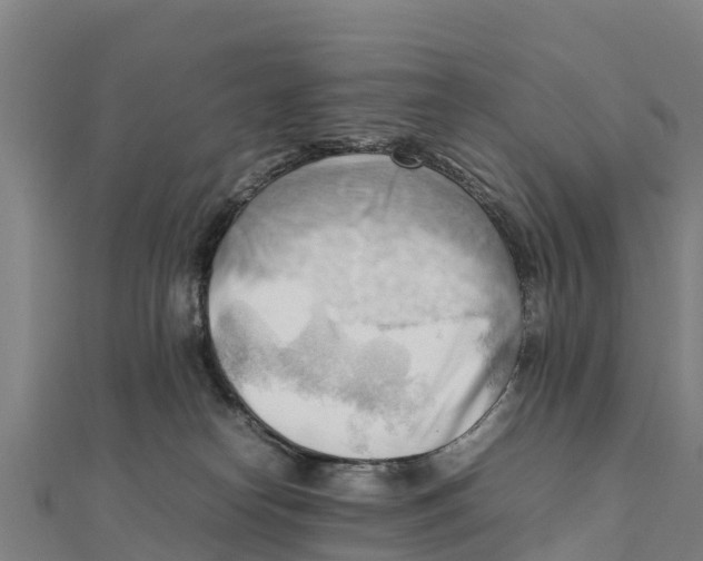 X0000111600182200908131411
