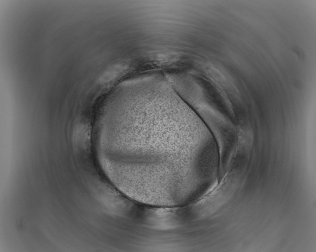 X0000111600184200908131411