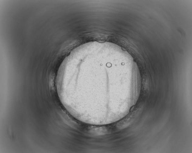 X0000111600185200908131411