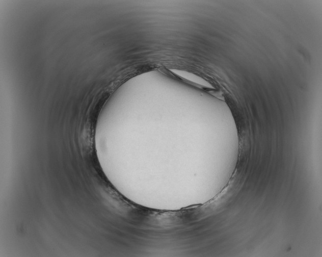 X0000111600186200908131411