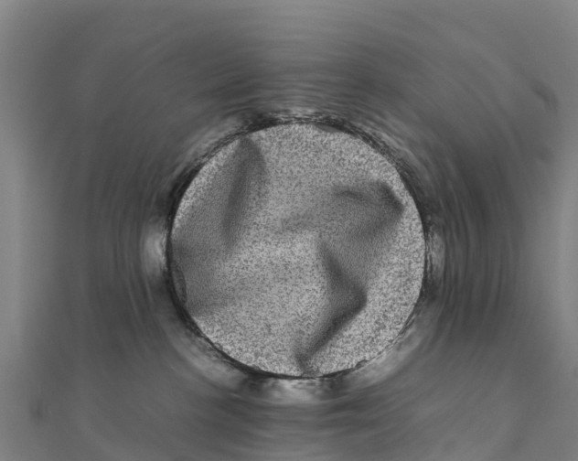 X0000111600188200908131411