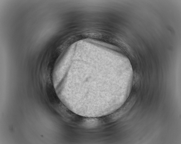 X0000111600189200908131411