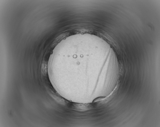 X0000111600191200908131412