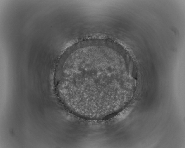 X0000111600192200908131412
