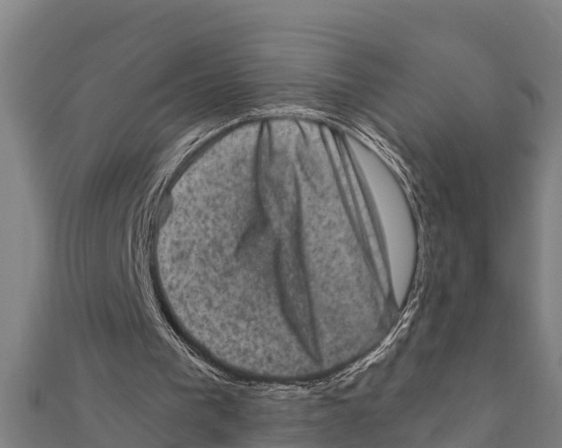 X0000111600193200908131411