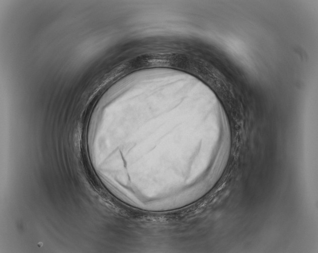 X0000111600194200908131411