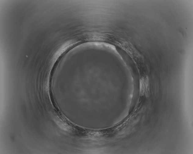 X0000111600195200908131411