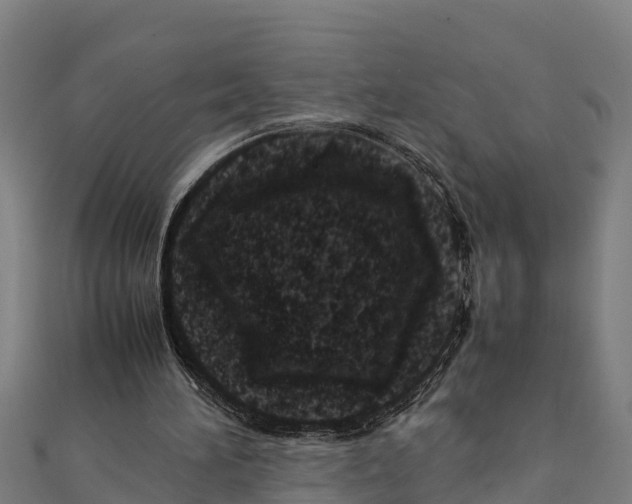 X0000111600196200908131411