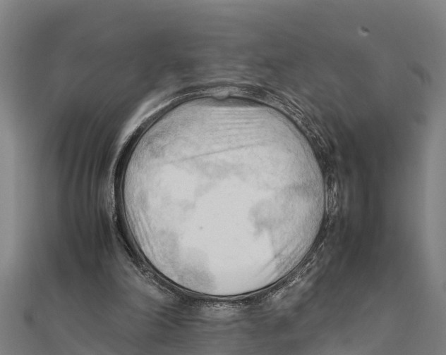 X0000111600198200908131411