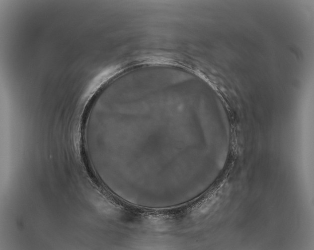 X0000111600199200908131411