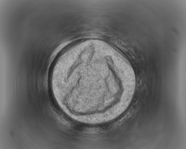 X0000111600200200908131411