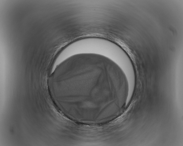 X0000111600201200908131411