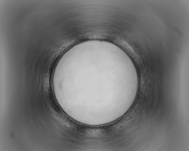 X0000111600202200908131411