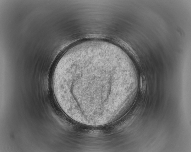 X0000111600204200908131410