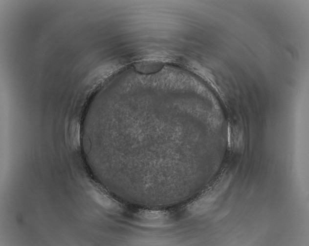 X0000111600205200908131410