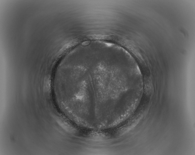 X0000111600207200908131410