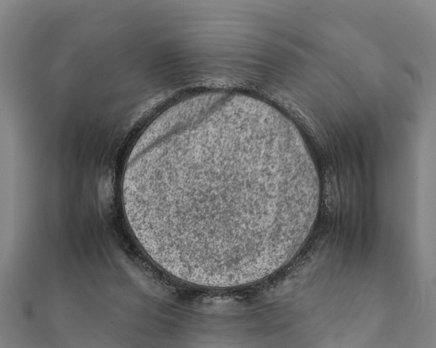 X0000111600208200908131410