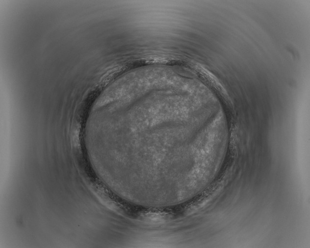 X0000111600209200908131410