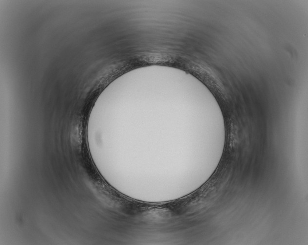 X0000111600210200908131410