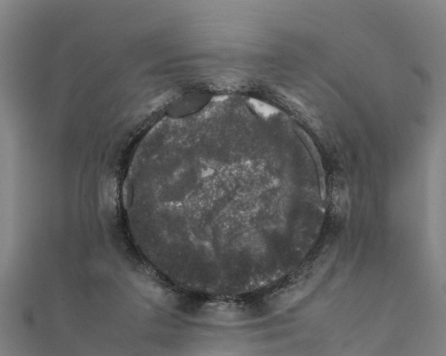 X0000111600211200908131410