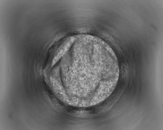 X0000111600212200908131410