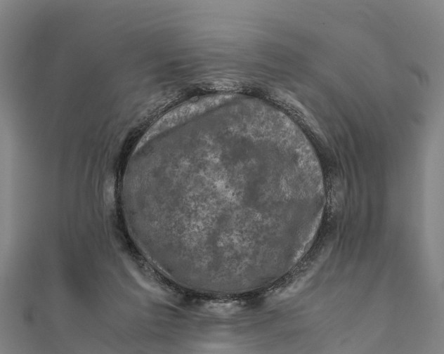 X0000111600213200908131410