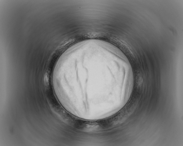X0000111600214200908131410