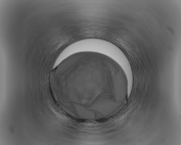 X0000111600215200908131410