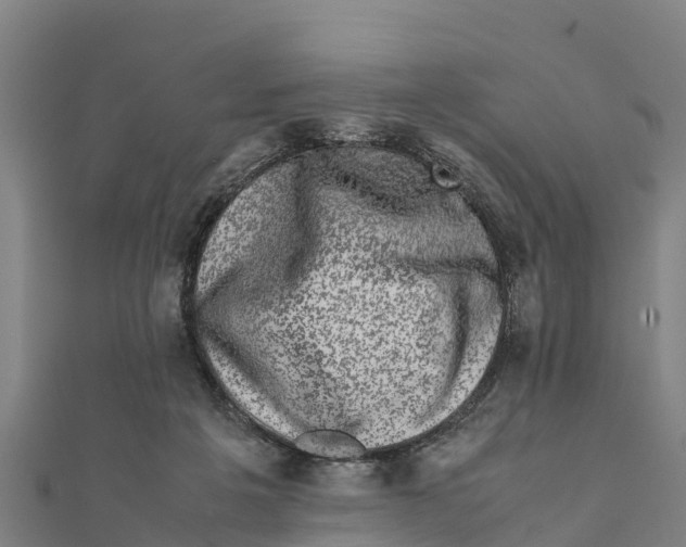 X0000111600217200908131410