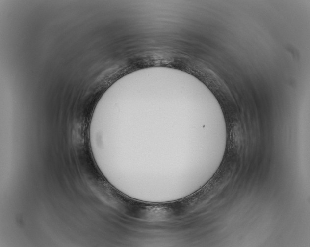 X0000111600218200908131410