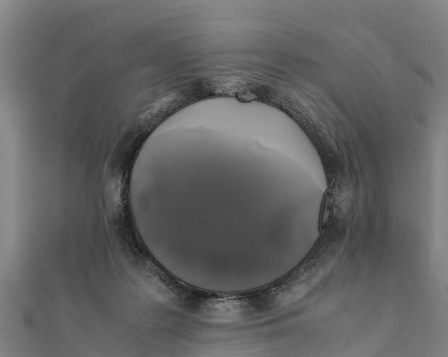 X0000111600219200908131410