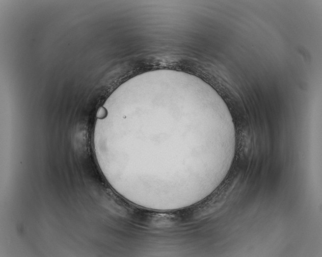 X0000111600222200908131410