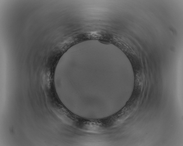 X0000111600223200908131410