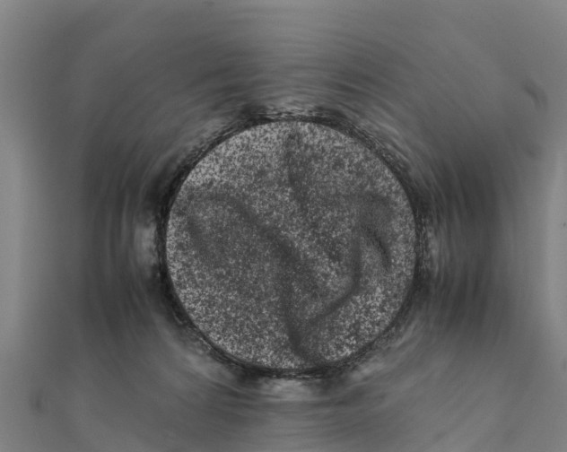X0000111600224200908131410