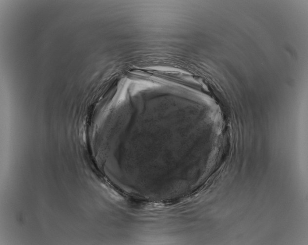 X0000111600227200908131410