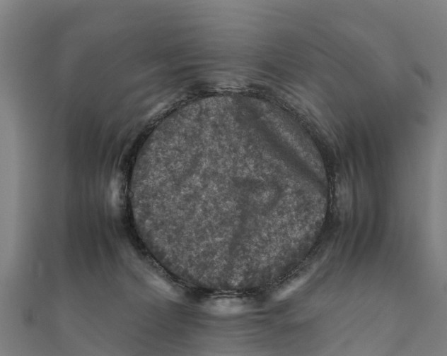 X0000111600228200908131410