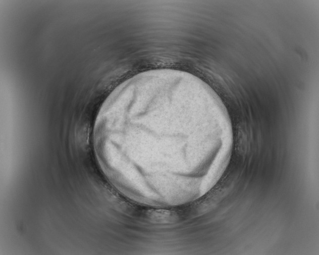 X0000111600230200908131410