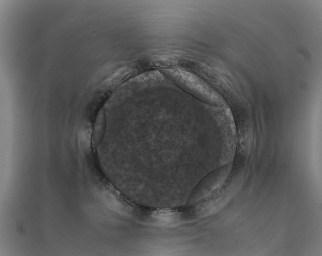 X0000111600231200908131410