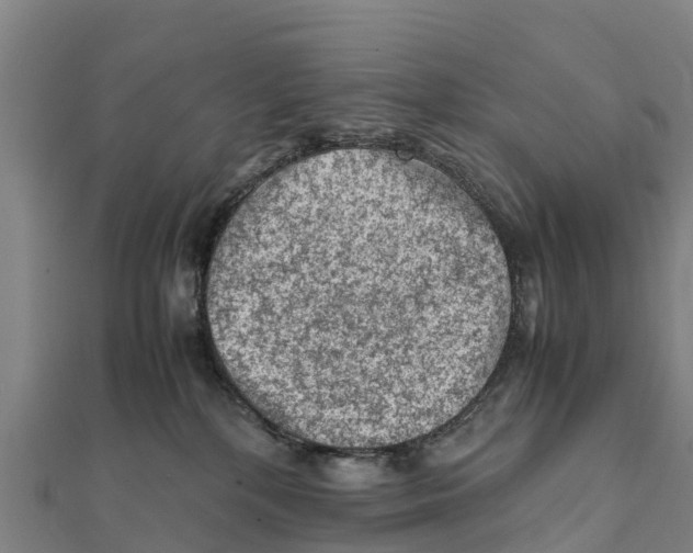 X0000111600232200908131410