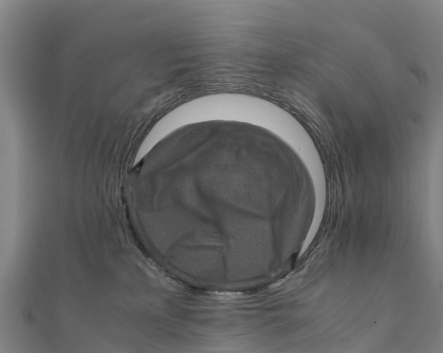 X0000111600233200908131410