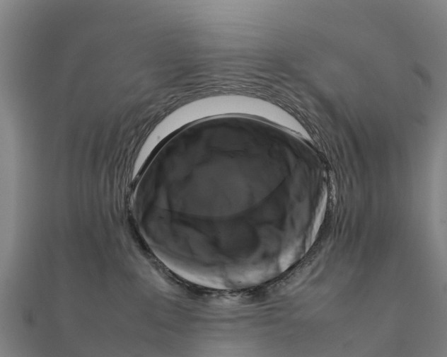 X0000111600235200908131410