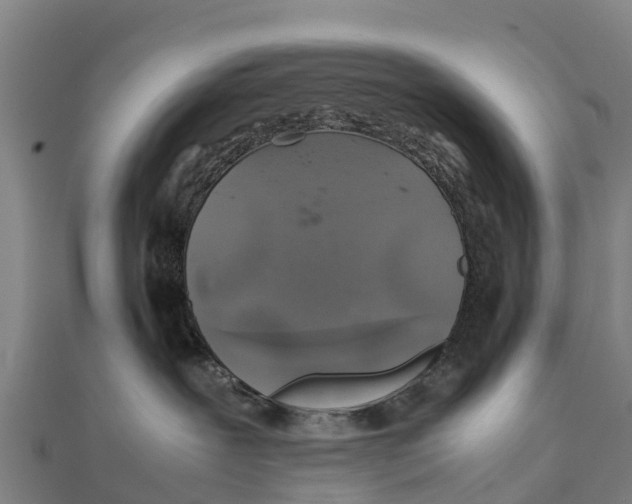 X0000111600239200908131410
