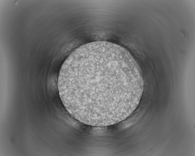 X0000111600240200908131410