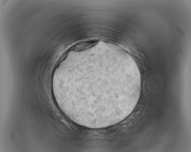 X0000111600241200908131409