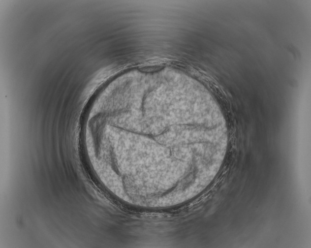 X0000111600242200908131409